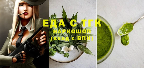 индика Алексин