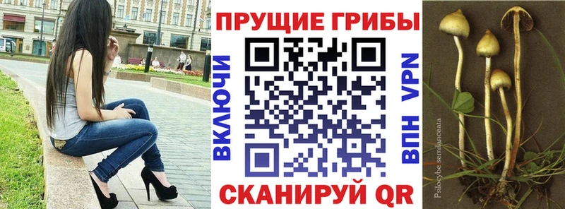 даркнет сайт  Саянск  Псилоцибиновые грибы GOLDEN TEACHER 