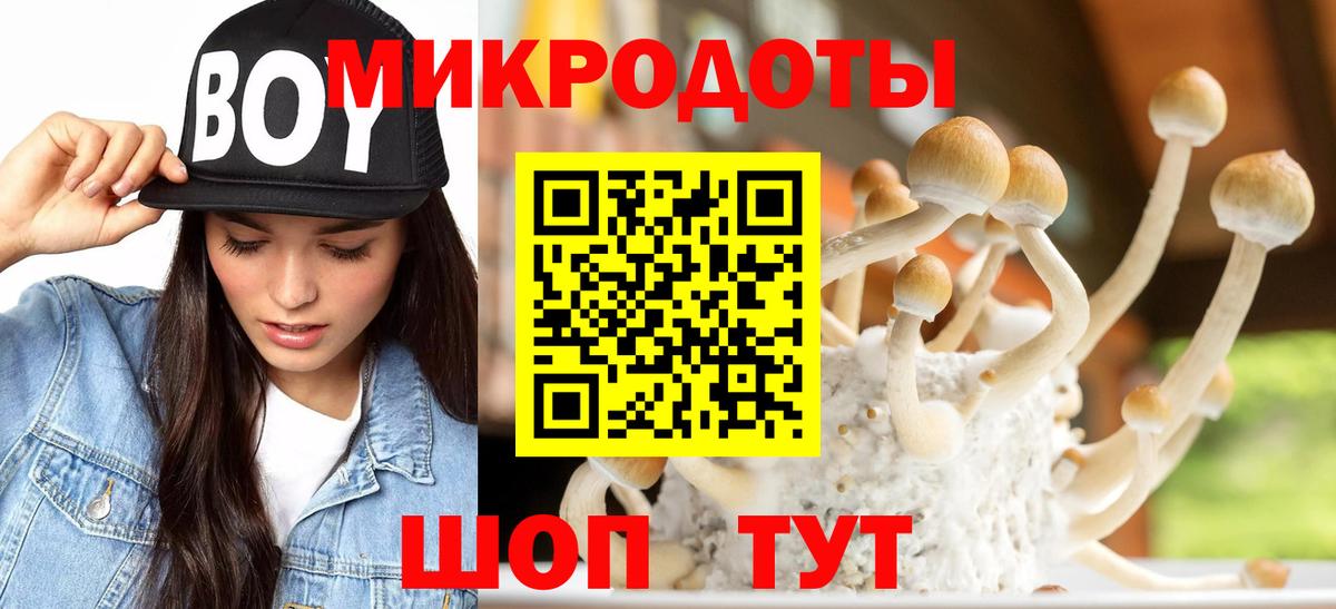 Галлюциногенные грибы ЛСД  купить наркоту  Саянск  Вход с VPN 